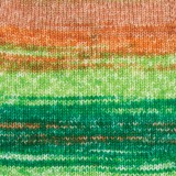 YarnArt Forza, 2604