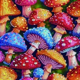 Цветные мухоморы