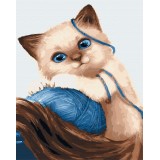 Картина за номерами - Кошеня з клубком