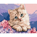 Картина за номерами - Синьооке кошеня