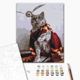 Картина по номерам - Котик ловец снитча © Eka Udaltsova