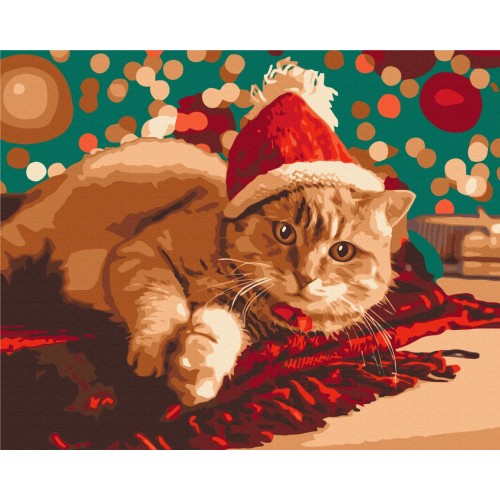 Картина по номерам - Санта котик