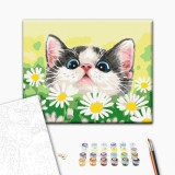 Картина за номерами - Котик в ромашках