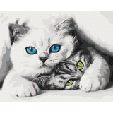 Картина за номерами - Муркотики