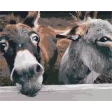 Картина за номерами - Віслючки на ранчо