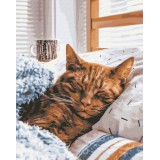 Картина за номерами - Ранковий котик