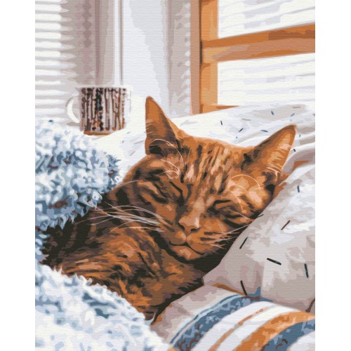 Картина за номерами - Ранковий котик