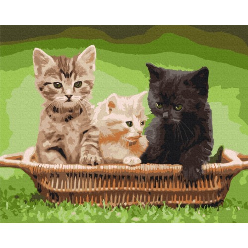 Картина по номерам - Котята в корзине