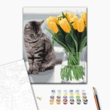Картина за номерами - Котик з тюльпанами