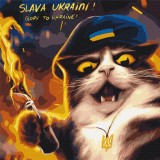 Картина по номерам - Котик повстанец ©Марианна Пащук