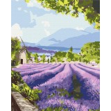 Картина за номерами - Два світи Провансу 2