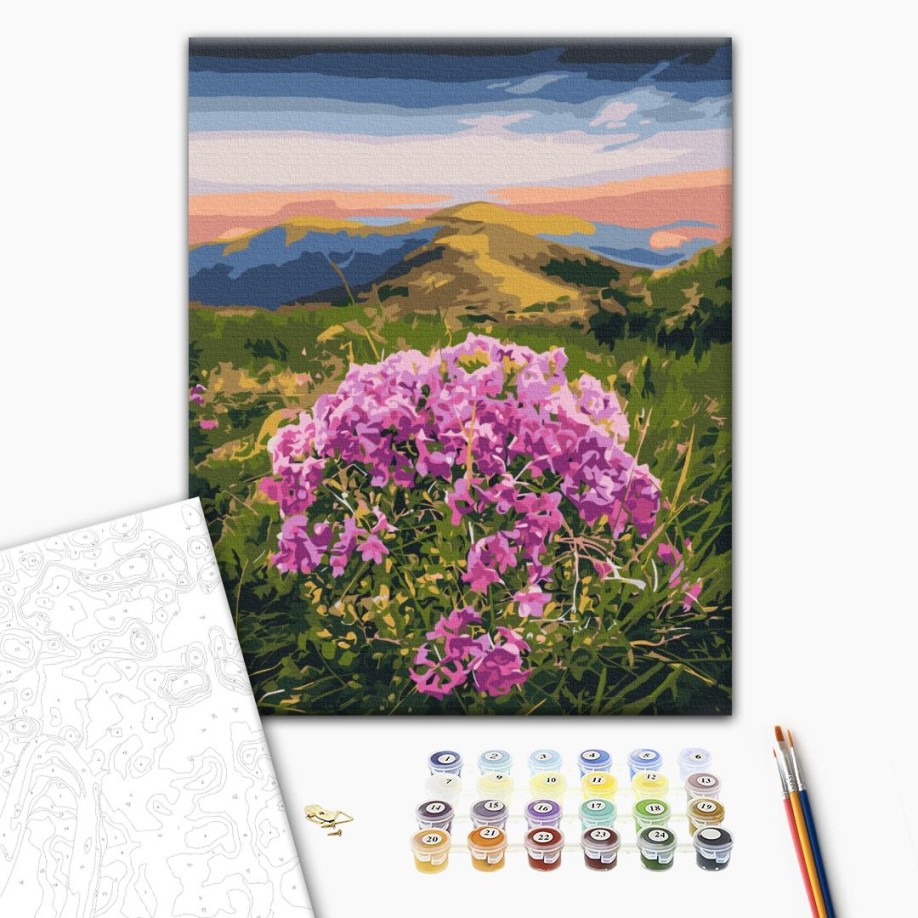 Картина за номерами - Цвітіння Карпат © Roksolana Baran