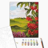 Картина за номерами - Польова калина © Bona
