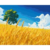 Картина за номерами - Поле золотих колосків