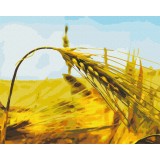 Картина за номерами - Житній колос