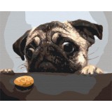 Картина за номерами - Мопсик