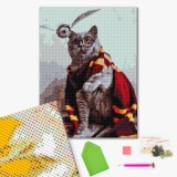 Котик ловец снитча