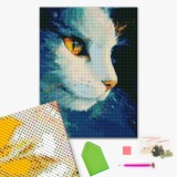 Космическая кошка
