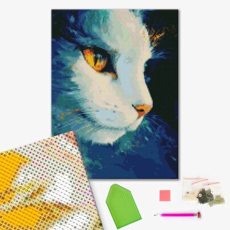 Космическая кошка