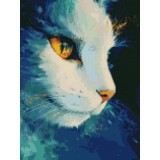 Космическая кошка