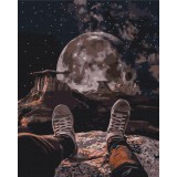 Картина за номерами "Вид на місяць" PBS38483 40×50 см