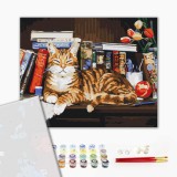 Преміум картина за номерами - Кіт на книжковій полиці