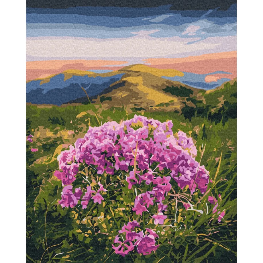 Картина за номерами "Цвітіння Карпат © Roksolana Baran" PBS53750 40×50 см