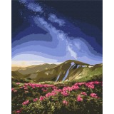 Картина за номерами "Чорногора © Roksolana Baran" PBS53753 40×50 см