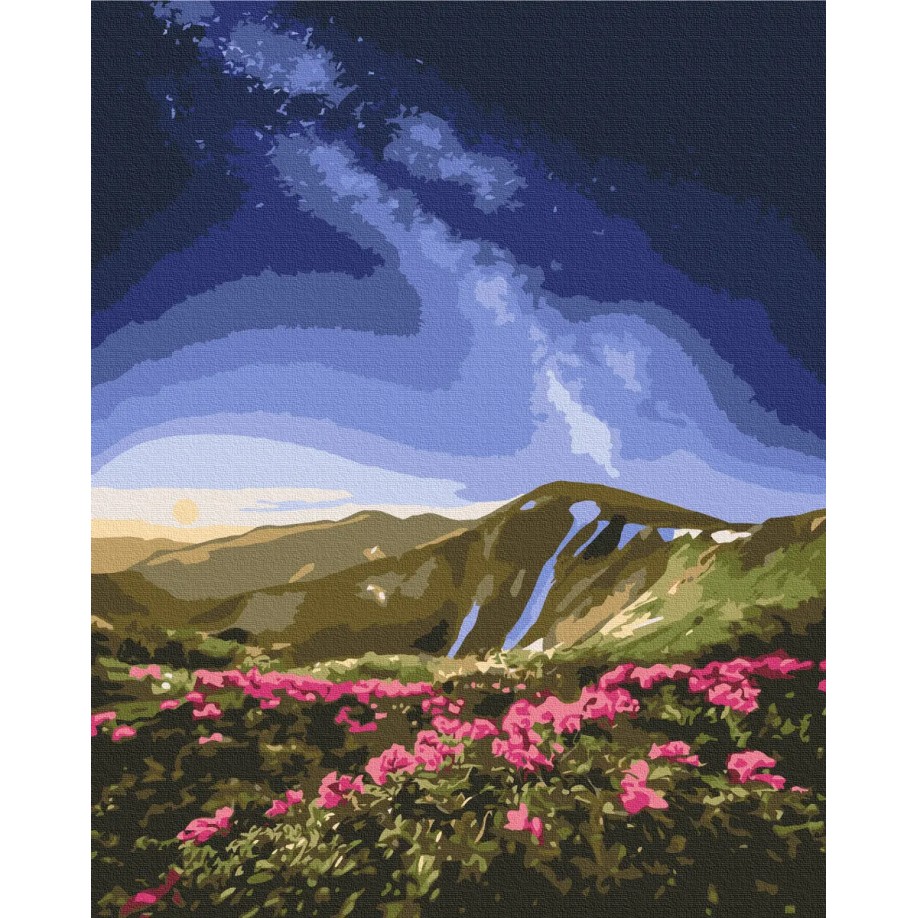 Картина за номерами "Чорногора © Roksolana Baran" PBS53753 40×50 см