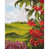 Картина за номерами "Польова калина © Bona" PBS53959 40×50 см