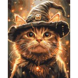 Преміум картина за номерами - Котик маг