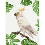 Картина за номерами - Білий какаду
