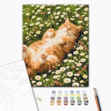 Картина за номерами - Котик у ромашках