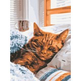 Картина за номерами - Ранковий котик