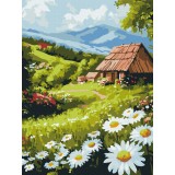 Картина по номерам - Сельский комфорт