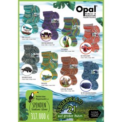 Opal Regenwald 21